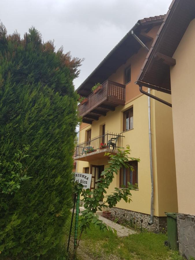 Pensiunea Valy și Gicu Bran  Exterior foto